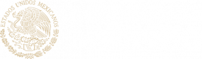 Government of Mexico